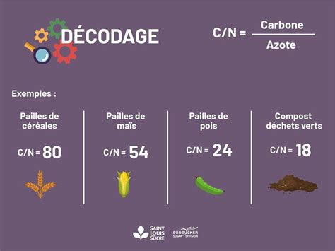 Infographie sur le rapport C/N idéal pour le compost