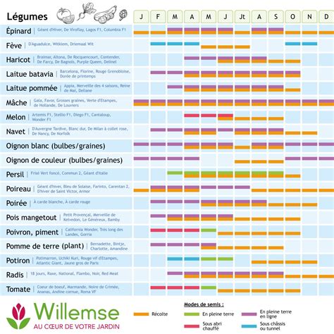 Calendrier des saisons de récolte de la rhubarbe dans différentes régions