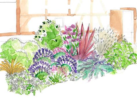 Plan d'aménagement d'un massif floral avec différentes hauteurs et couleurs de plantes