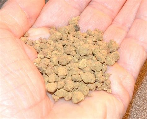 Comparaison entre akadama, pumice et pouzzolane