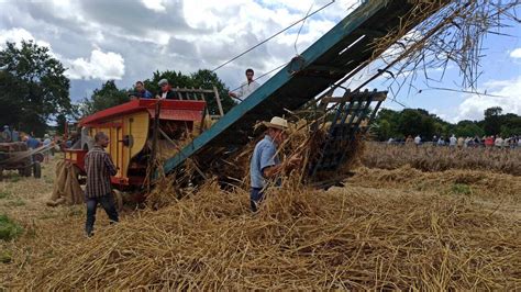 Évolution de la moisson et du battage des céréales