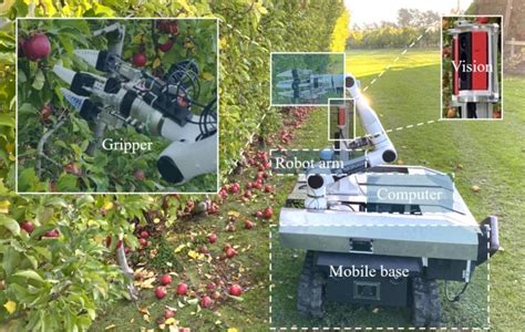 Robot cueilleur de fruits en action