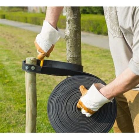 Schéma d'un collier de tuteurage en caoutchouc avec attache réglable