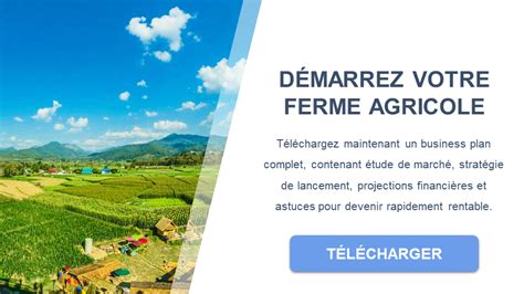 Plan de l'exploitation agricole de La Terre Ferme à Manosque