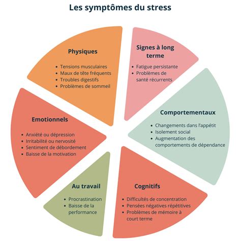 Infographie présentant les signes de stress du Dracaena marginata et les solutions associées