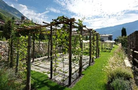 Exemple de treille en bois avec vigne