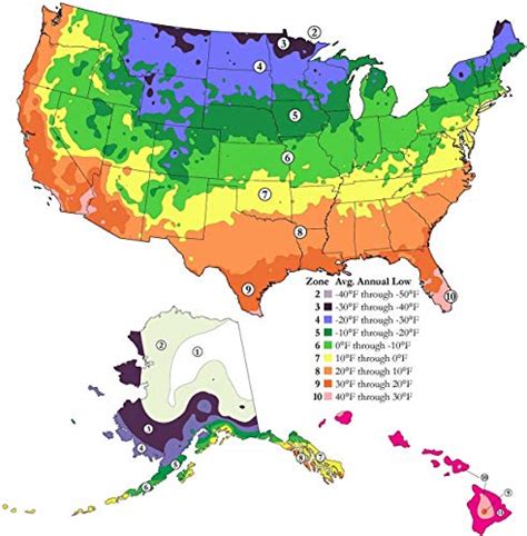 Carte de zone de rusticité simplifiée pour le choix des plantes ornementales.