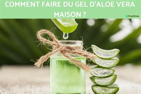 Schéma explicatif des étapes de préparation d'un gel d'aloe vera maison