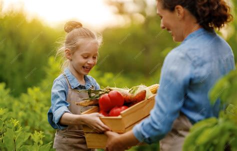Famille en train de cueillir des légumes au jardin