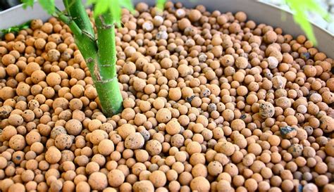 Gros plan sur des billes d'argile dans le fond d'un pot