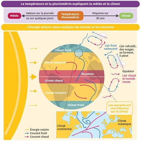 Schéma illustrant l'influence des conditions climatiques sur la floraison d'un agrume