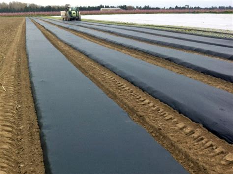 Machine déroulant un film de paillage plastique