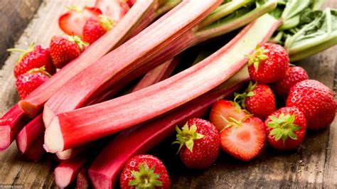 Récolte de fraises et de rhubarbe, symboles du printemps