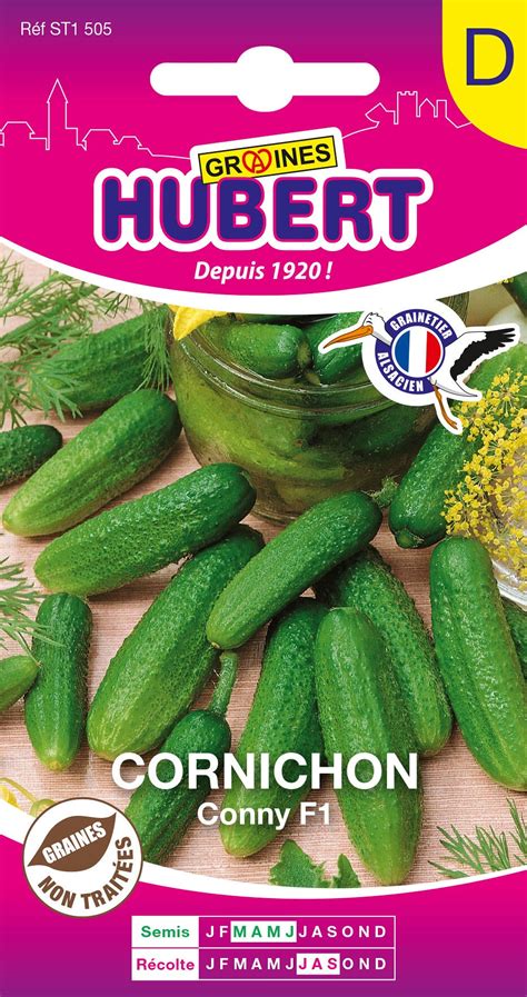 Sachet de graines de cornichon étiqueté