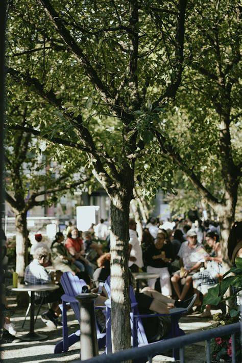 Arbre sous lequel plusieurs personnes sont assises