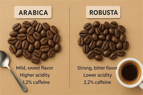 Diagramme comparatif des variétés Arabica et Robusta
