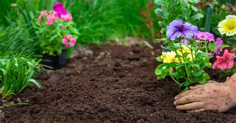 Débutant jardinant avec plaisir