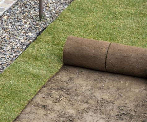 Paysagiste préparant le sol pour la pose de gazon