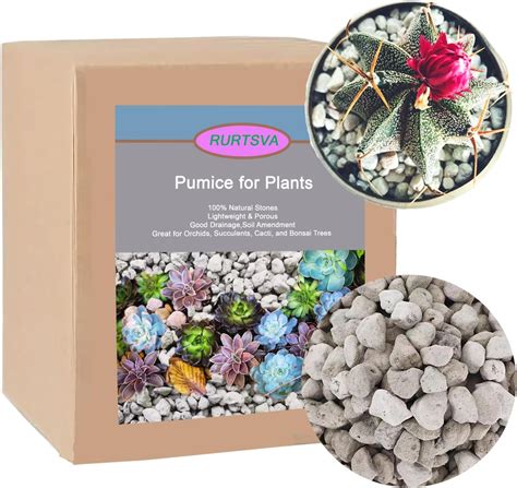 Exemple de substrat drainant pour succulentes