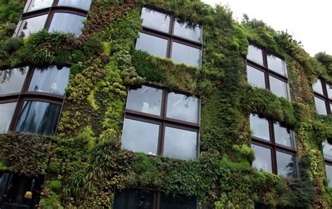 Infographie montrant les bénéfices écologiques des façades végétalisées