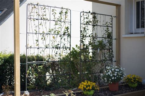 Exemple d'une façade avec un système de support pour plantes grimpantes