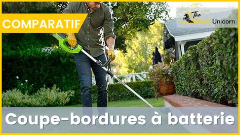 Infographie comparant l'entretien d'un coupe-bordure à batterie et à essence