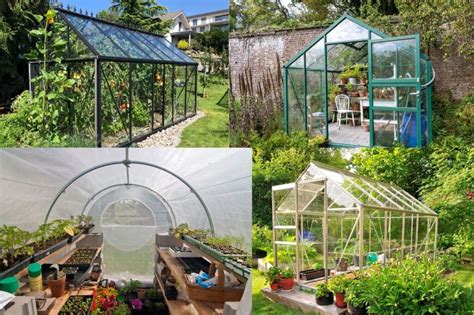 Différents types de serres de jardin