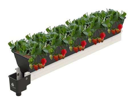 Système de fraises contrerotatives