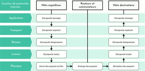 Diagramme des couches de drainage pour un olivier