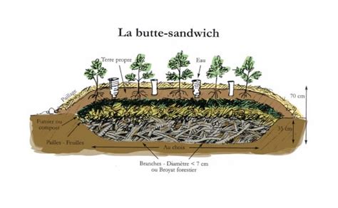Types de buttes de permaculture