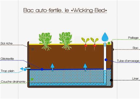 Schéma de la structure d'un wicking bed