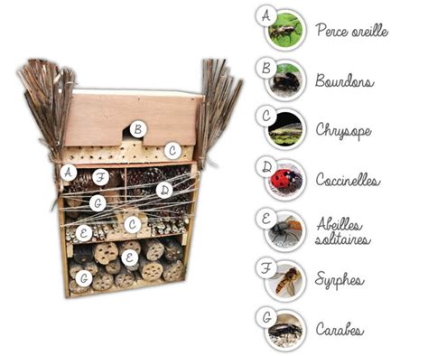 Nichoir à insectes dans un jardin