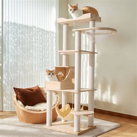 Arbre à chat moderne placé près d'une fenêtre ensoleillée