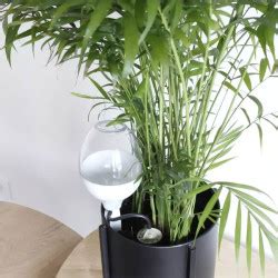 Réserve décorative Iriso pour plantes d'intérieur