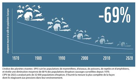 Graphique montrant la diminution de la biodiversité cultivée