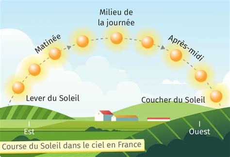 Schéma illustrant l'exposition idéale au soleil pour le Lantana