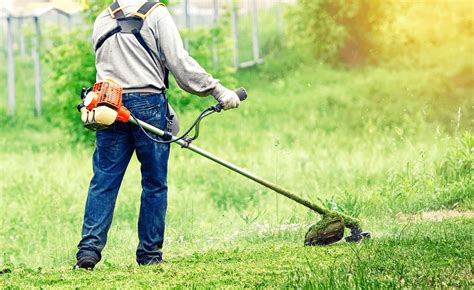 Une débroussailleuse thermique en action dans un jardin paysager