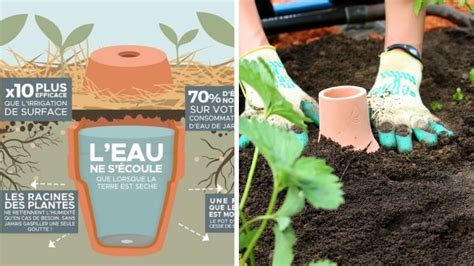 Schéma montrant l'espacement idéal des oyas entre les rangs de légumes