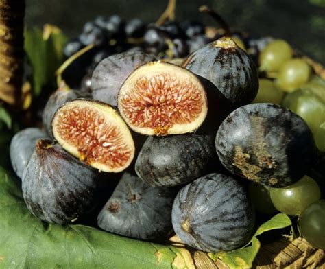 Plateau de figues Bourjassotte Noire prêtes à la dégustation