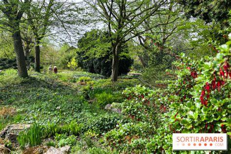 Vue panoramique du jardin diversifié de l'École Du Breuil au cœur du Bois de Vincennes