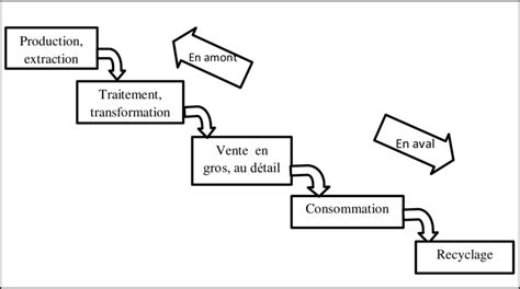 Illustration des étapes de la chaîne de valeur : de la semence à la conservation