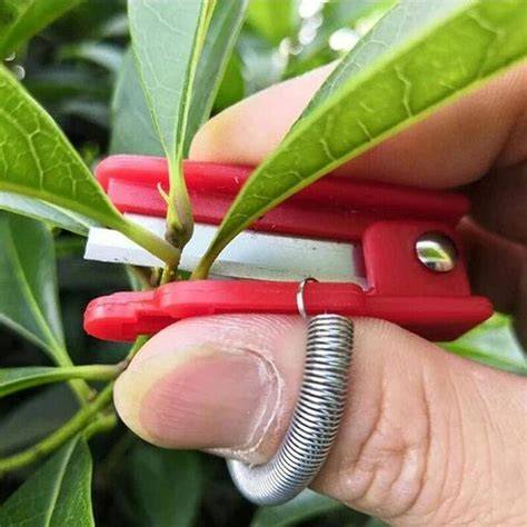 Outils de récolte de base