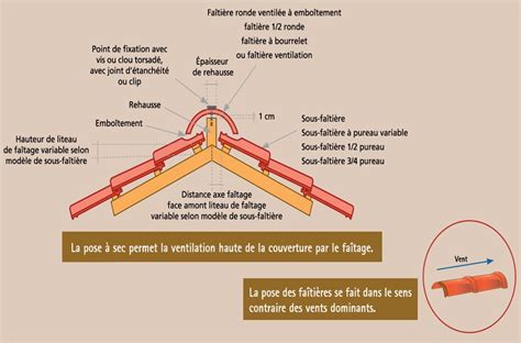 Schéma illustrant les règles de placement des tuiles (Bois, Feuilles, Fleurs, Fruits)