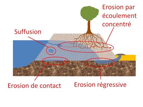 Schéma illustrant l'érosion d'un sol nu versus un sol couvert de matière organique