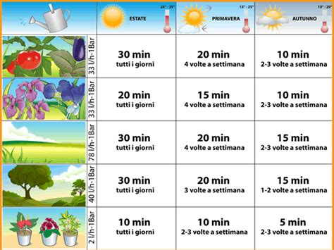 Infographie comparant la fréquence d'arrosage et de fertilisation selon les saisons pour un rosier en pot