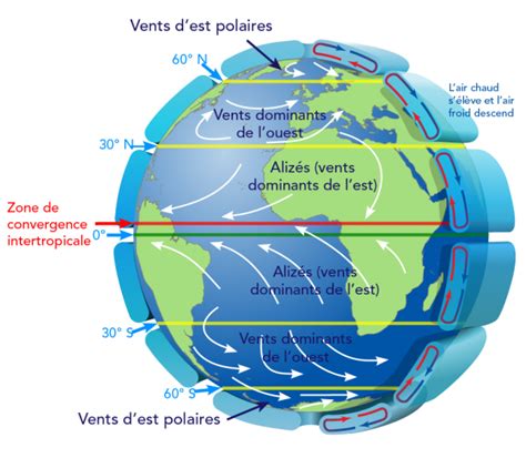 Schéma illustrant l'installation correcte d'un tuteur simple par rapport aux vents dominants
