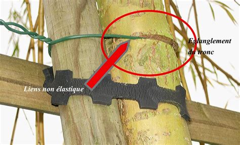 Photo montrant un lien souple en forme de 8 correctement posé