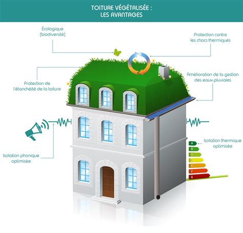 Infographie sur les bénéfices de la végétalisation des toitures