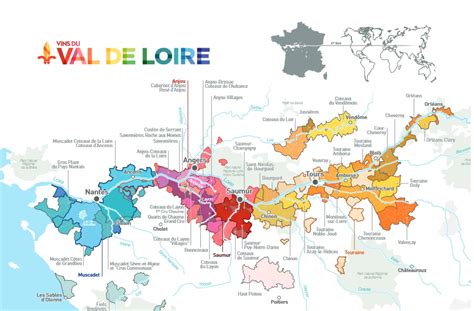 Vignoble vallonné du Val de Loire avec ses rangs de vignes parfaitement alignés