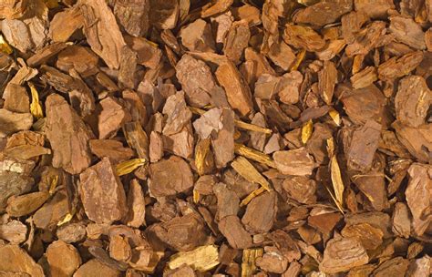 Photo de différentes textures et calibres d'écorces de pin